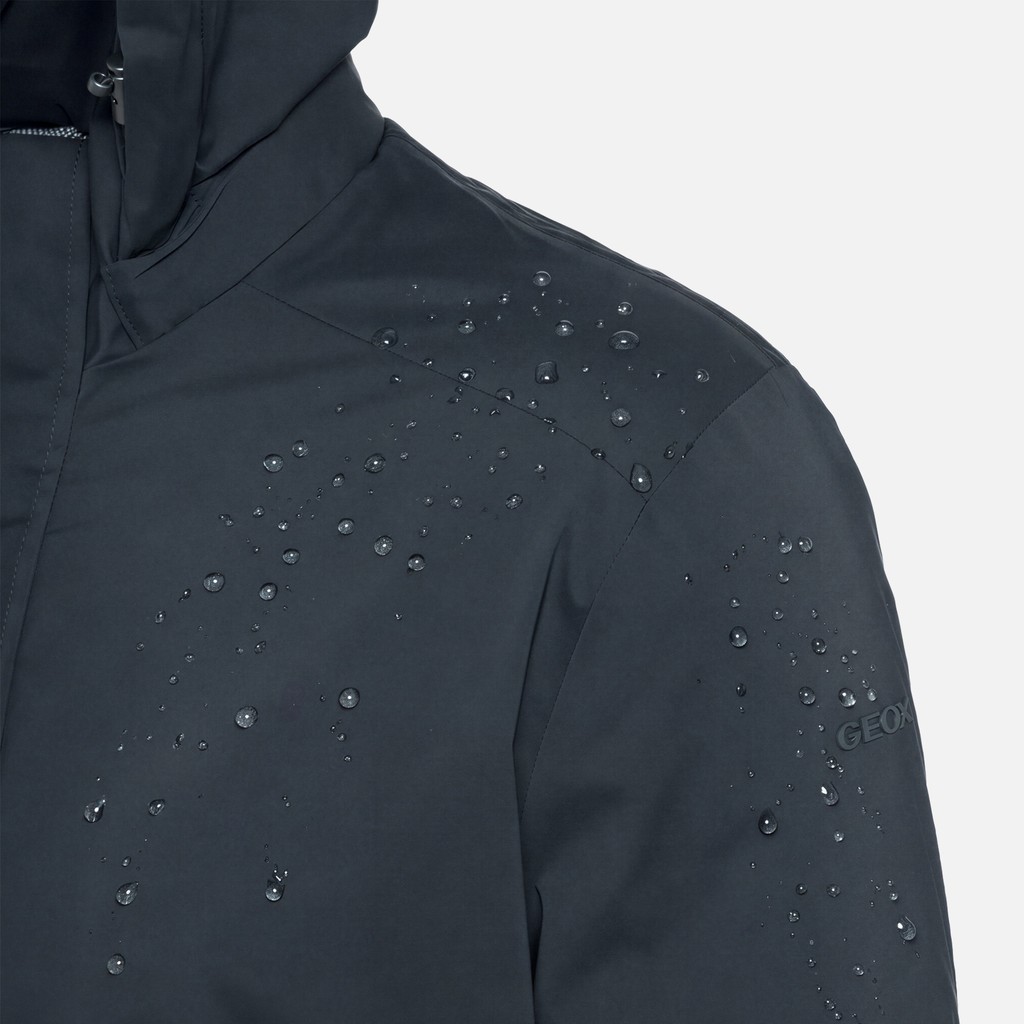 Veste matelass&eacute;e MASSIMIANO HOMME Bleu nuit - image number 12 | GEOX