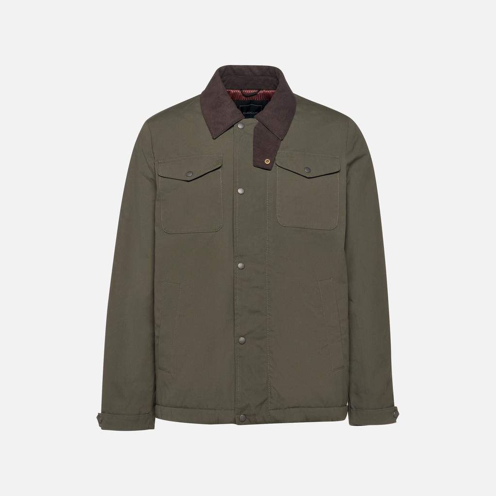 Veste en coton BALTMOORE HOMME Vert fonc&eacute; - image number 6 | GEOX
