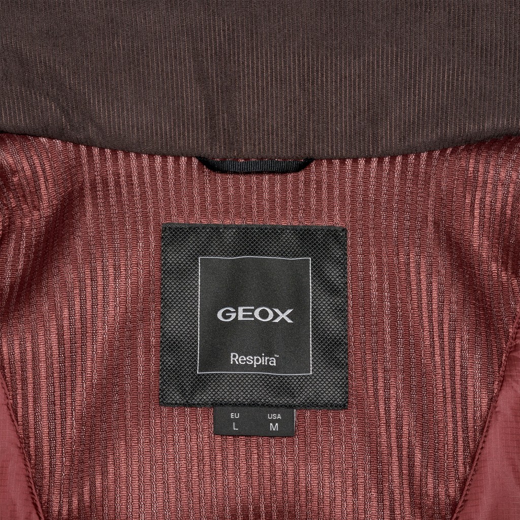 Veste en coton BALTMOORE HOMME Vert fonc&eacute; - image number 11 | GEOX