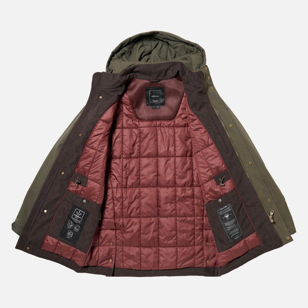 Veste en coton BALTMOORE HOMME Vert fonc&eacute; - image number 13 | GEOX