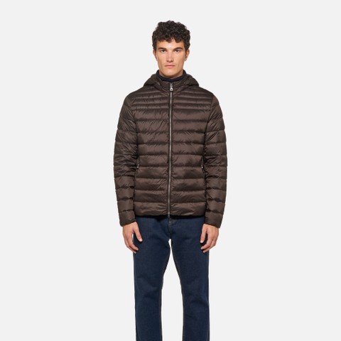 Steppjacke WARRENS HERR Dunkelbraun - image number 1 | GEOX