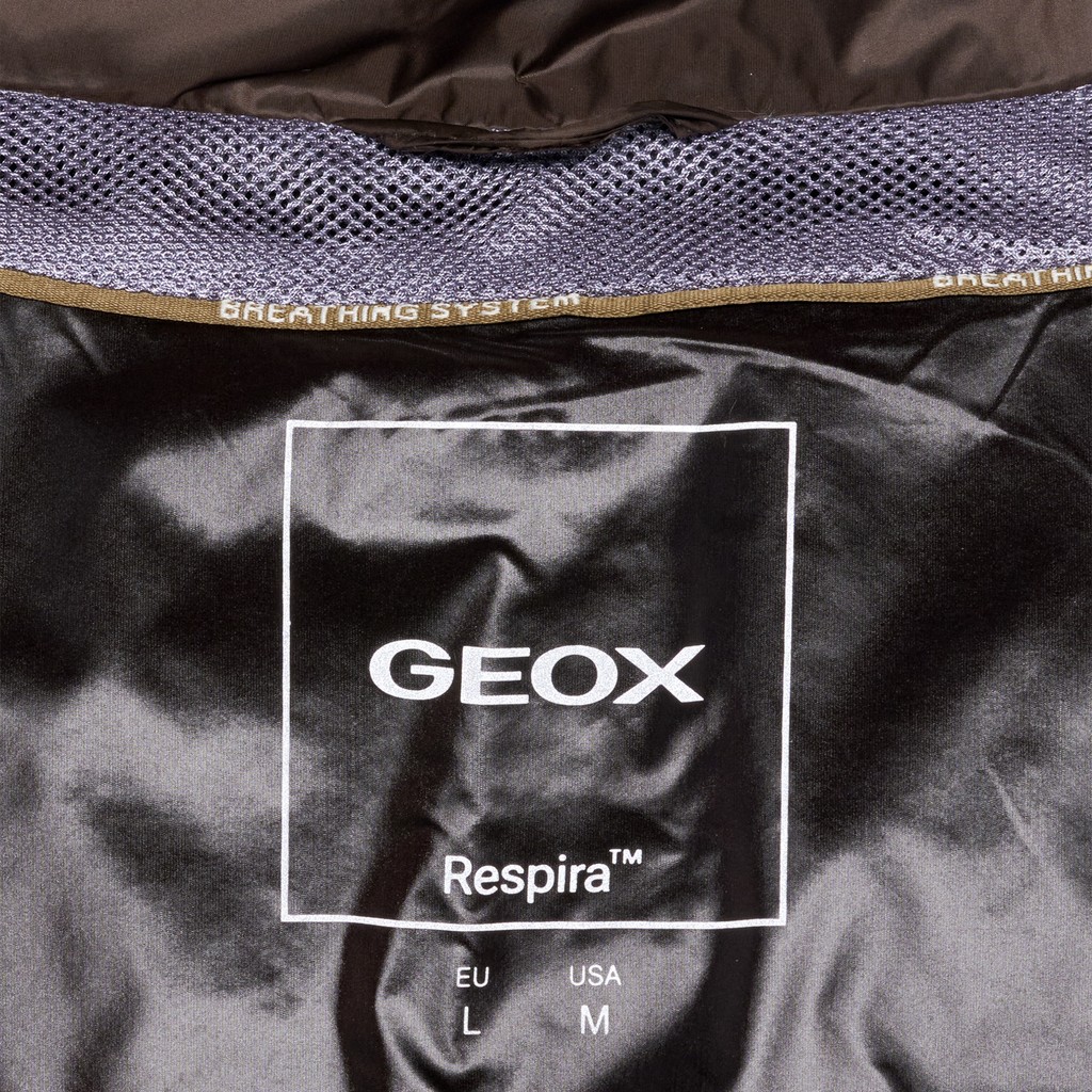 Steppjacke WARRENS HERR Dunkelbraun - image number 9 | GEOX