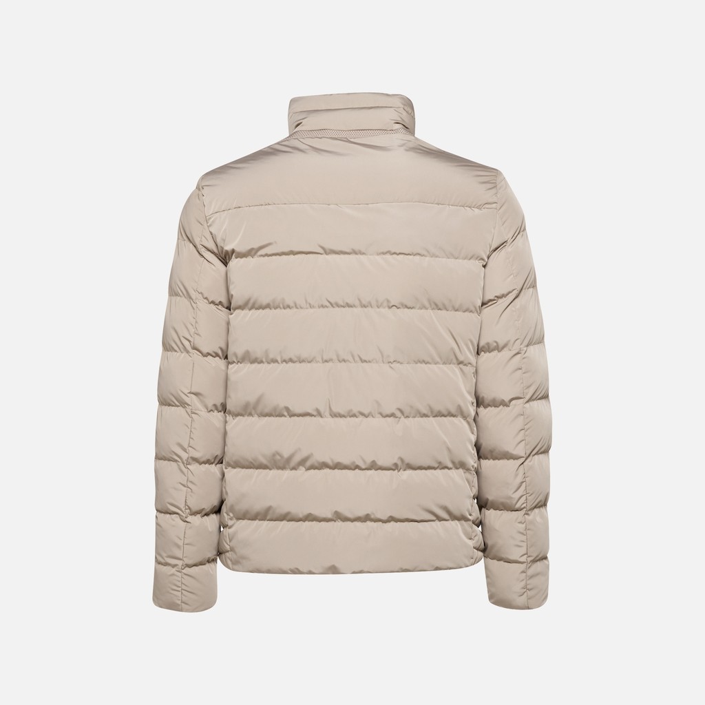 Veste matelass&eacute;e coupe-vent MAGNETE HOMME Gris clair - image number 7 | GEOX