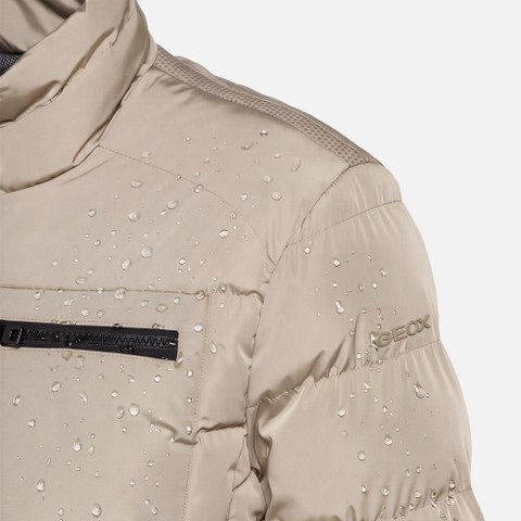 Veste matelass&eacute;e coupe-vent MAGNETE HOMME Gris clair - image number 13 | GEOX