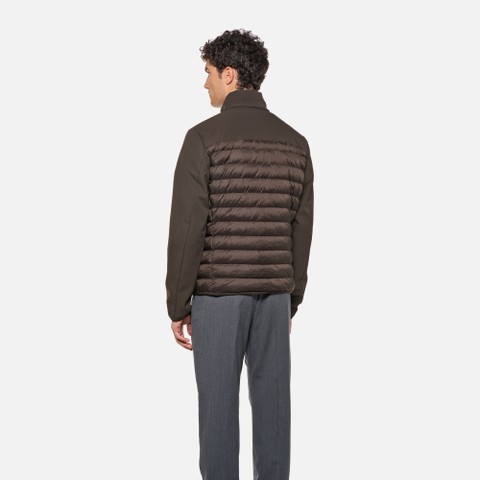 Short down jacket SPHERICA MAN Coffee bean/Coffee bean - image number 2 | GEOX