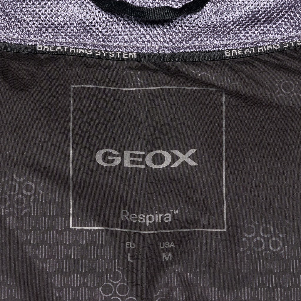 Short down jacket SPHERICA MAN Coffee bean/Coffee bean - image number 9 | GEOX