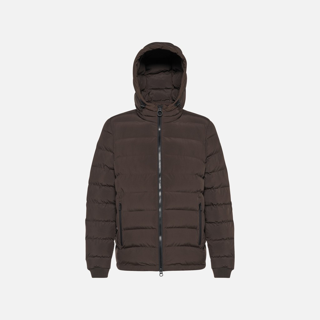 Short down jacket SPHERICA MAN Coffee Bean - image number 5 | GEOX