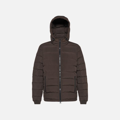 Short down jacket SPHERICA MAN Coffee Bean - image number 5 | GEOX
