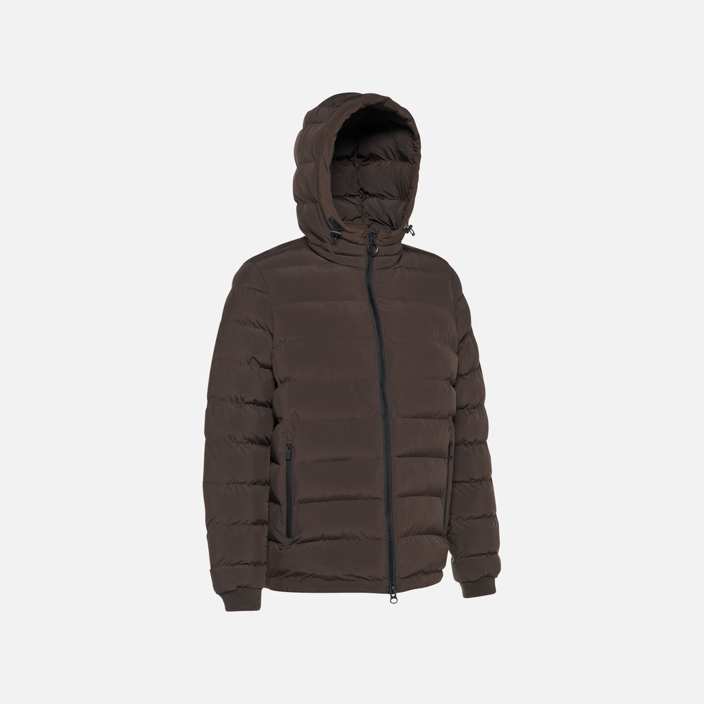 Short down jacket SPHERICA MAN Coffee Bean - image number 6 | GEOX