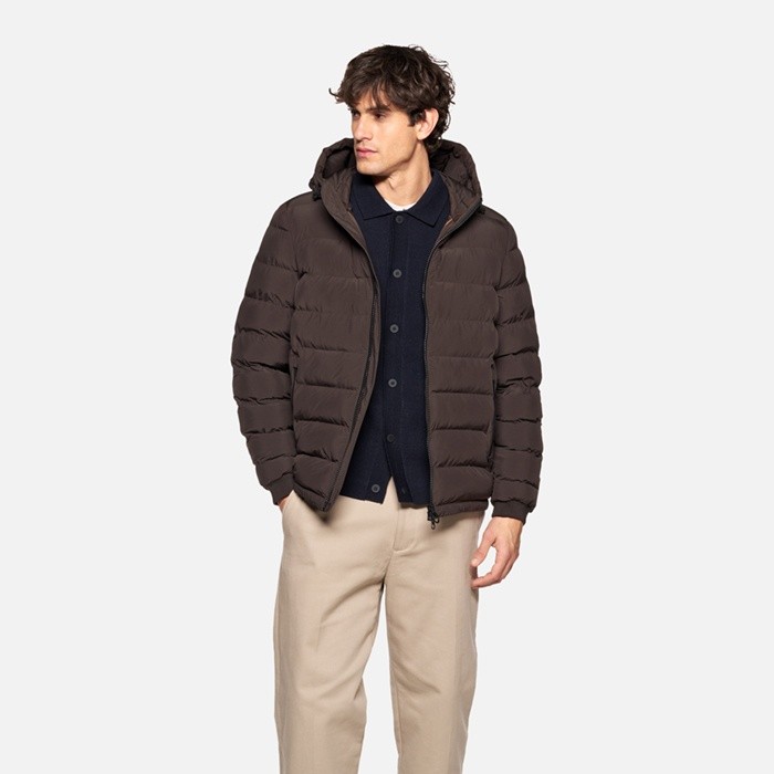 Short down jacket SPHERICA MAN Coffee Bean | GEOX