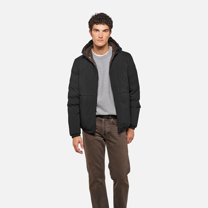 Short down jacket SPHERICA MAN Coffee bean/Black | GEOX