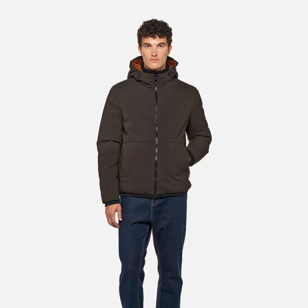 Short down jacket SPHERICA MAN Pumpkin spice/Coffee - image number 1 | GEOX