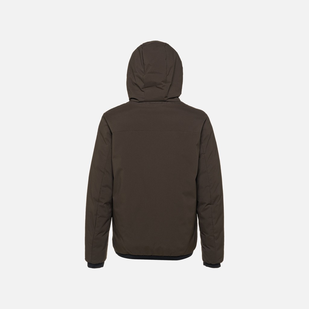 Short down jacket SPHERICA MAN Pumpkin spice/Coffee - image number 6 | GEOX