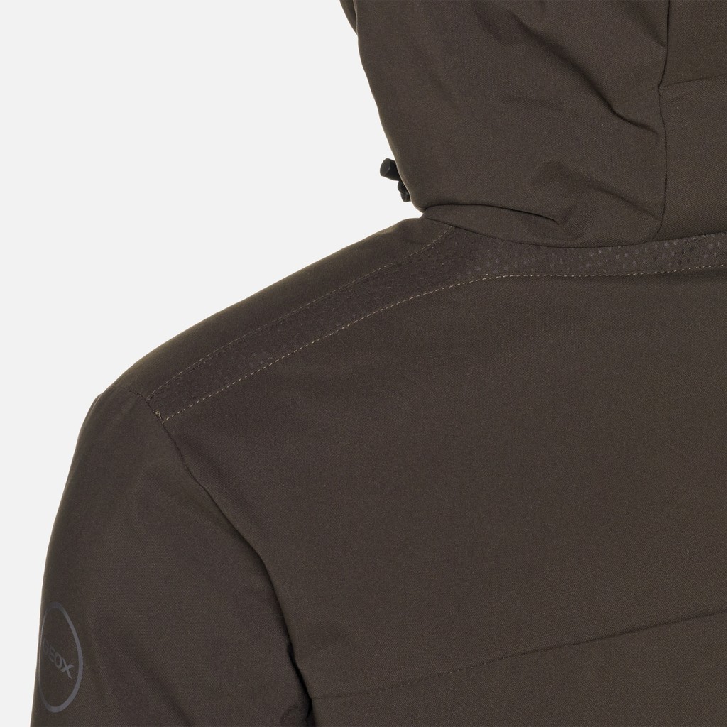 Short down jacket SPHERICA MAN Pumpkin spice/Coffee - image number 7 | GEOX