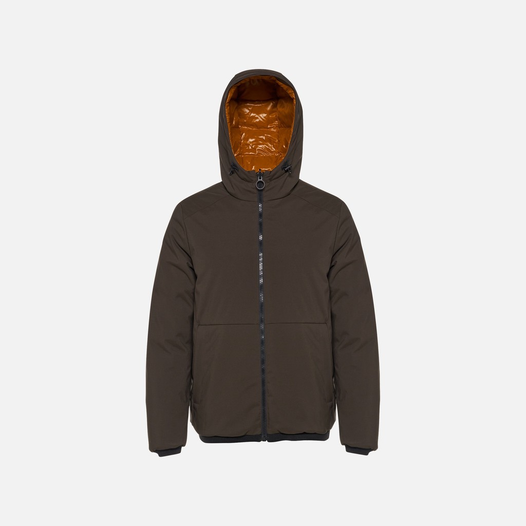 Short down jacket SPHERICA MAN Pumpkin spice/Coffee - image number 8 | GEOX