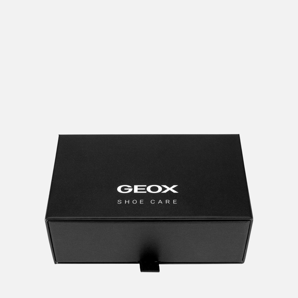 SPUGNA AUTOLUCIDANTE COLORATA REFLEX | Macchi Varese