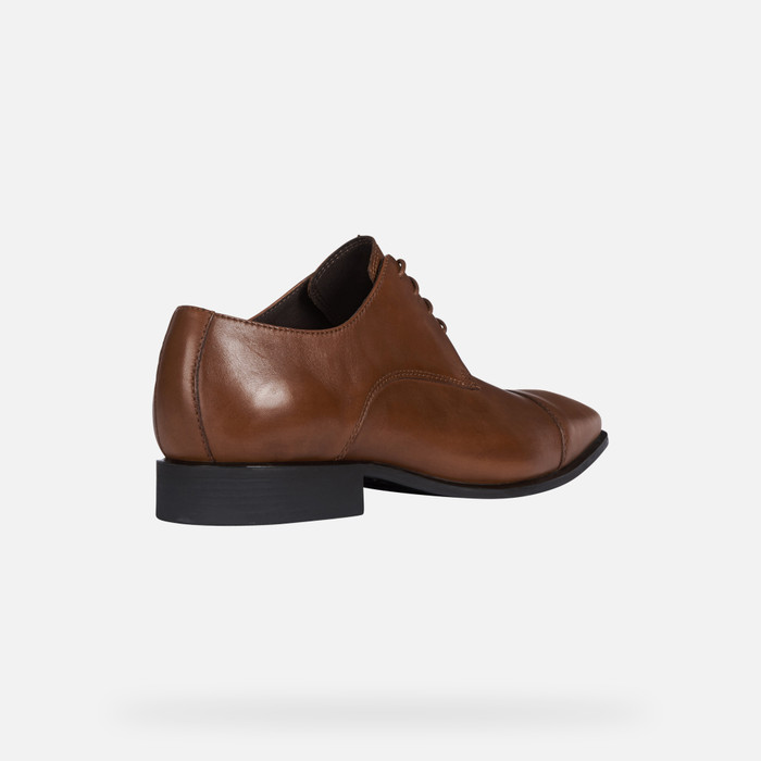 geox cognac