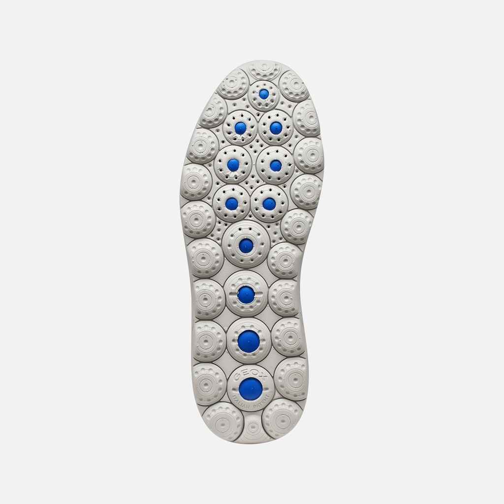 Low top sneakers SPHERICA MAN Light Grey/Grey - image number 6 | GEOX