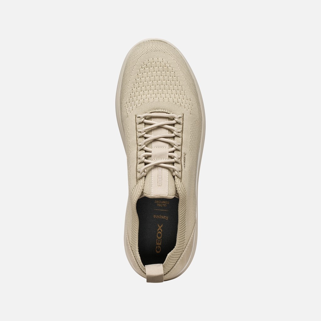 Low top sneakers SPHERICA MAN Sand/Sand - image number 5 | GEOX