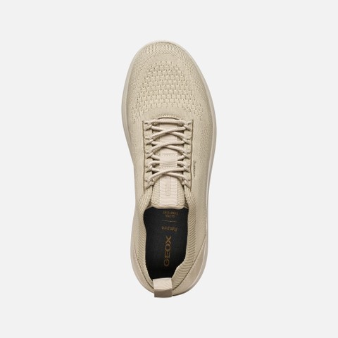 Low top sneakers SPHERICA MAN Sand/Sand - image number 5 | GEOX