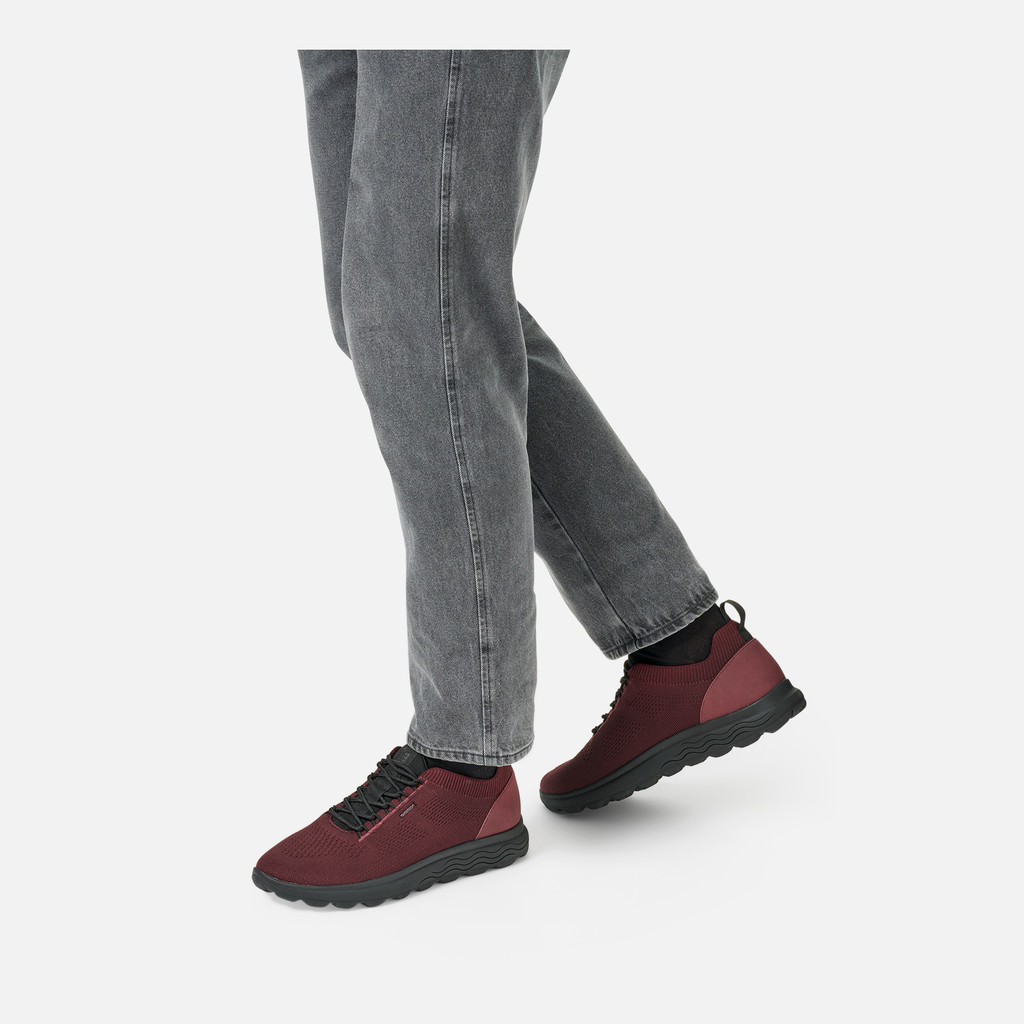 Fabric sneakers SPHERICA MAN Wine/Black - image number 2 | GEOX
