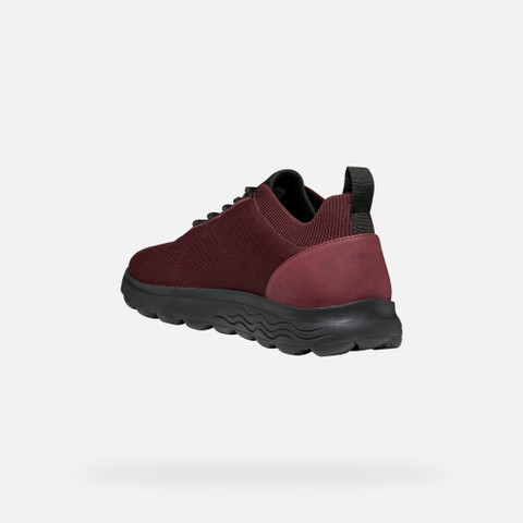 Fabric sneakers SPHERICA MAN Wine/Black - image number 3 | GEOX