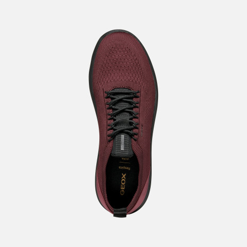 Fabric sneakers SPHERICA MAN Wine/Black - image number 5 | GEOX