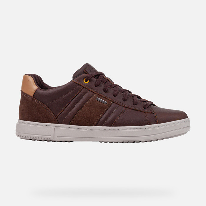 Sneakers LEVICO ABX MAN Coffee/Nut | GEOX