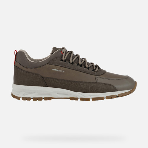 Sneakers DELRAY   MAN Dove grey | GEOX