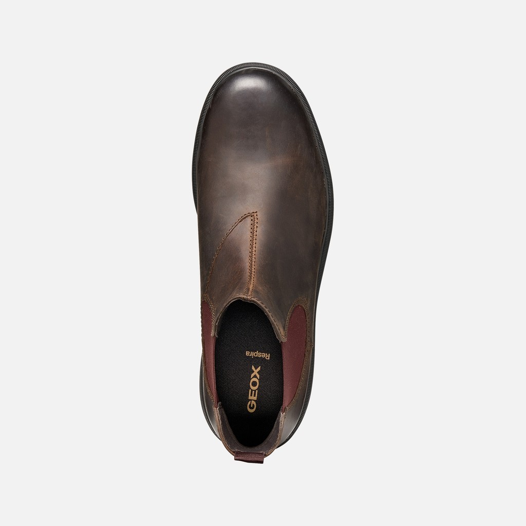 Chelsea boots ANDALO MAN Coffee/Burgundy - image number 5 | GEOX