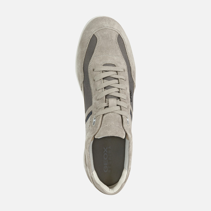 Geox® IONIO Man: Taupe Sneakers Geox®