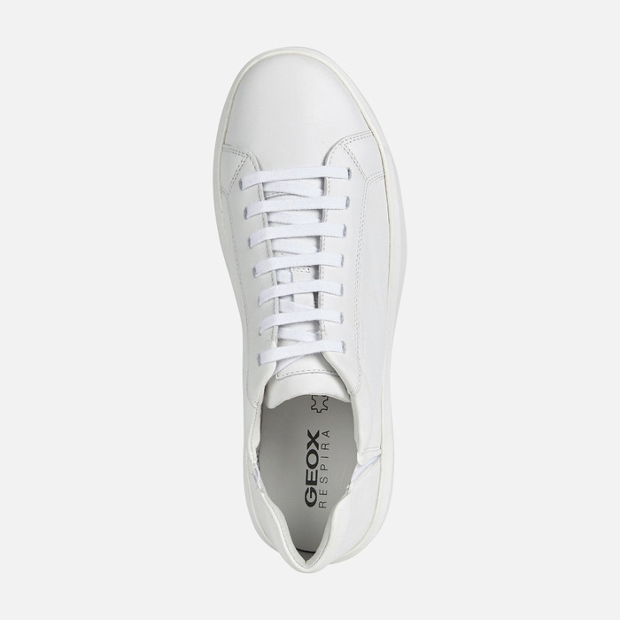 Hombre: Sneakers Blancos | Geox®