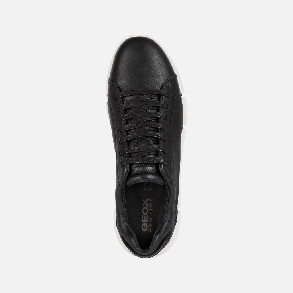 Geox® ADACTER: Men's Black Low Top Sneakers | Geox® SS23