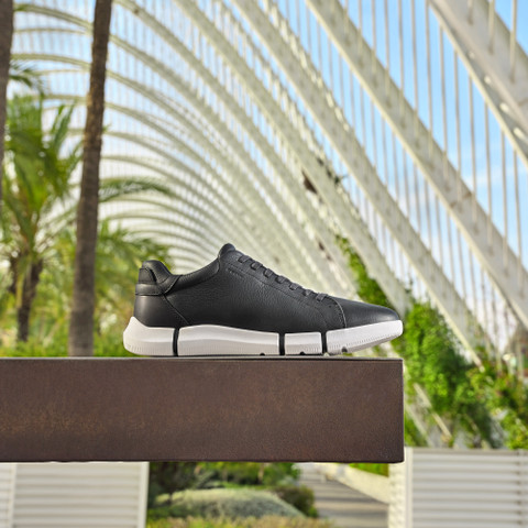 Baskets basse ADACTER HOMME Noir - image number 8 | GEOX