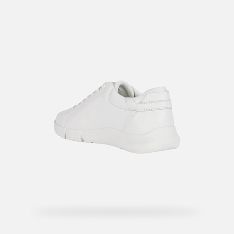 Low Top Sneakers ADACTER MAN White - image number 3 | GEOX
