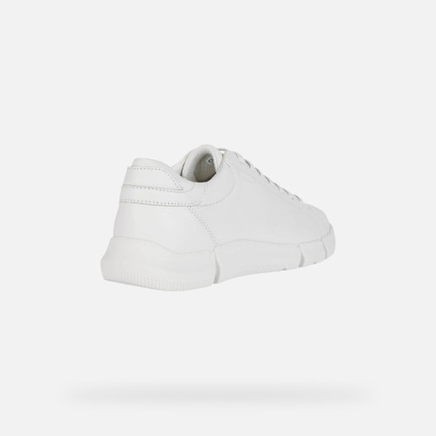 Low Top Sneakers ADACTER MAN White - image number 4 | GEOX