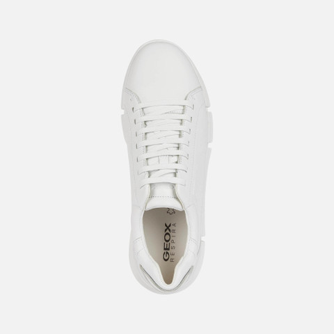 Low Top Sneakers ADACTER MAN White - image number 5 | GEOX