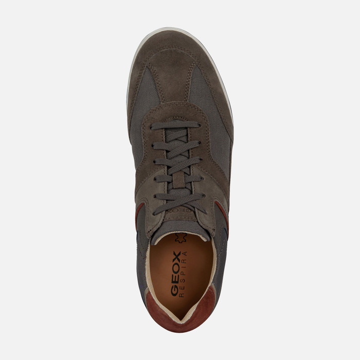 Geox® RENAN: Men's Dove Grey Low Top Sneakers | Geox ® Online Store
