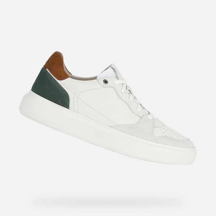 Low top sneakers DEIVEN MAN White/Forest green | GEOX