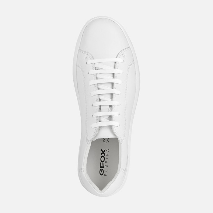 Geox® VELLETRI: Men's White Low Top Sneakers | Geox ® Online