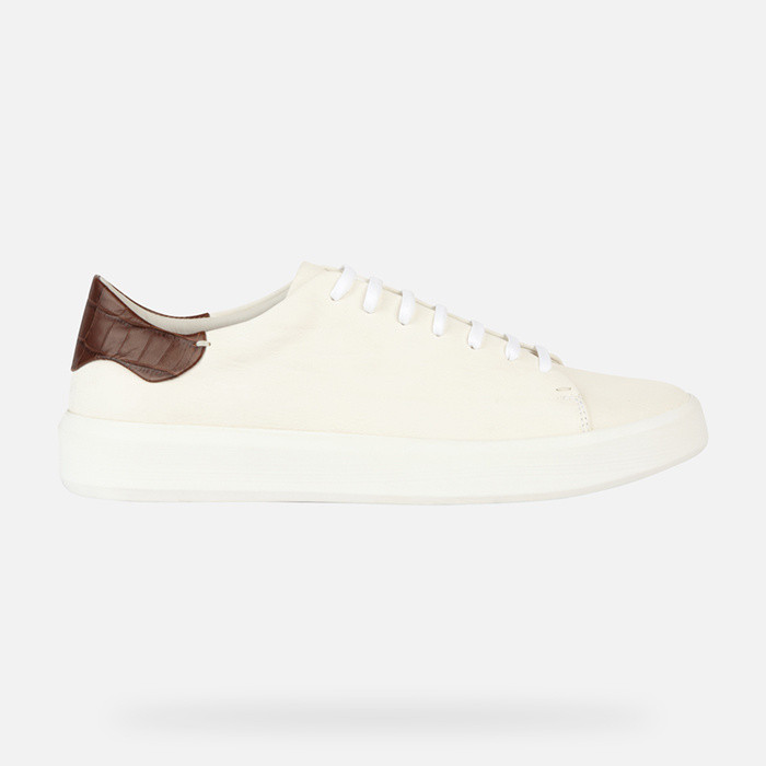 Low top sneakers VELLETRI MAN White/Brown | GEOX