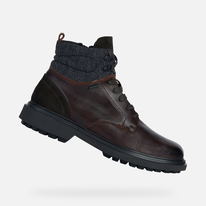 Leather ankle boots FALORIA ABX MAN Coffee | GEOX