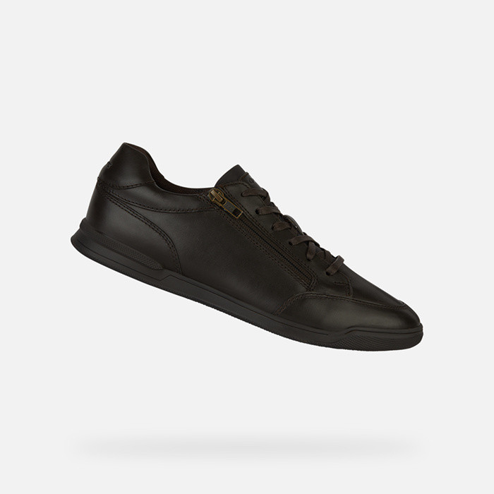 Leather shoes CORDUSIO MAN Coffee | GEOX