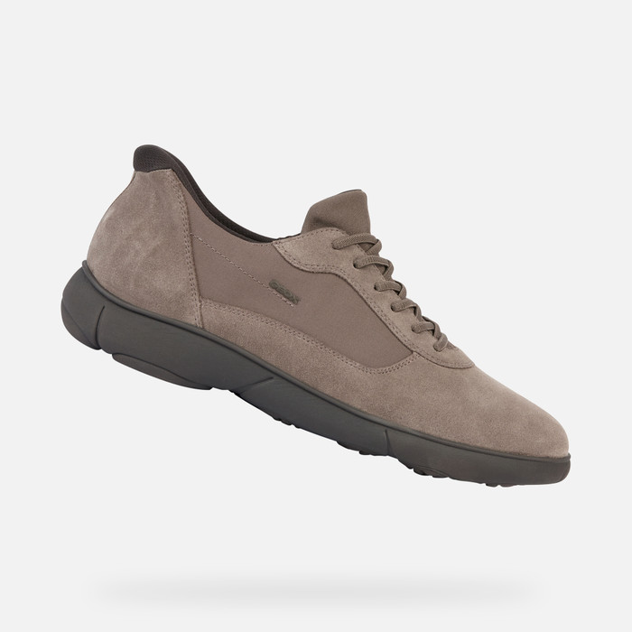Geox® NEBULA 2.0 A: Low Top Sneakers dove grey Man | Geox®