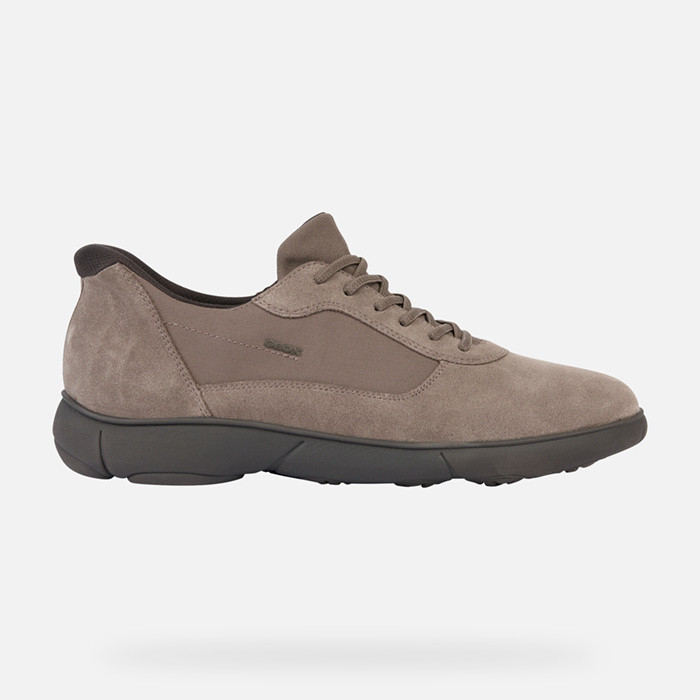 Low top sneakers NEBULA 2.0 MAN Dove grey | GEOX