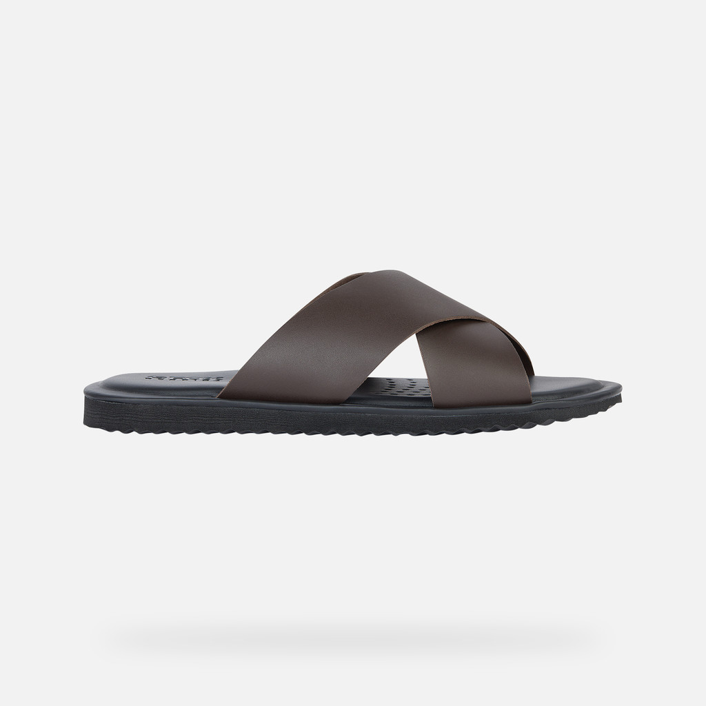 Erice Homme Brun Foncé