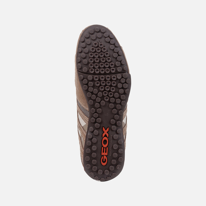 Geox® SNAKE: Beige Low Top Sneakers Geox ®