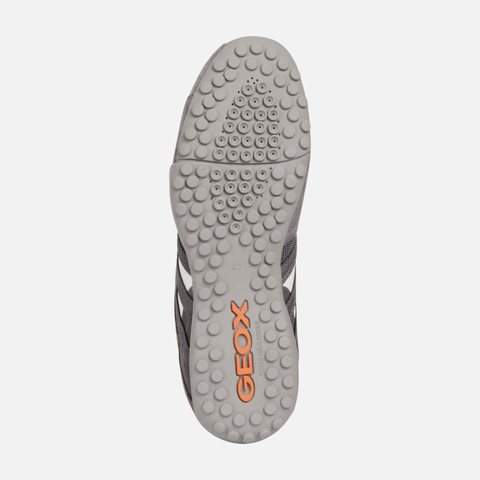 Geox® Man: Light Grey Sneakers |