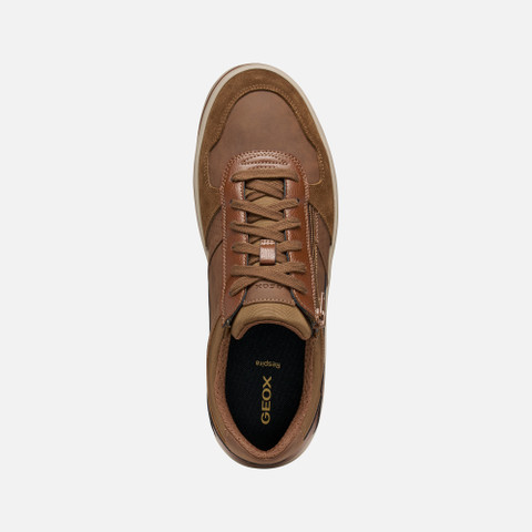 Low top sneakers ELVER MAN Brown Cotto/Cognac - image number 5 | GEOX