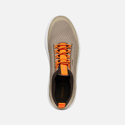Fabric sneakers SPHERICA MAN Dove Grey/Sand - image number 5 | GEOX